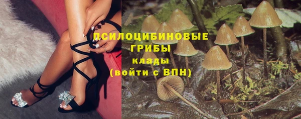 Альфа ПВП Абаза