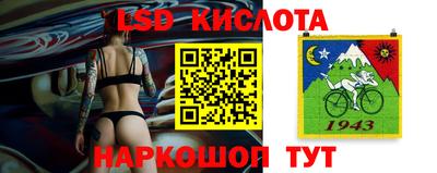 прущие грибы Бийск
