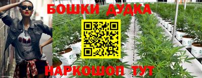 прущие грибы Бийск