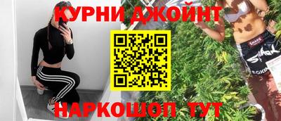 прущие грибы Бийск