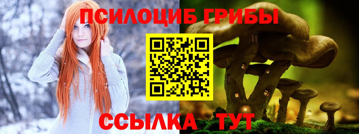 Галлюциногенные грибы Magic Shrooms  Галлюциногенные грибы GOLDEN TEACHER  Вход с VPN  Звенигород 